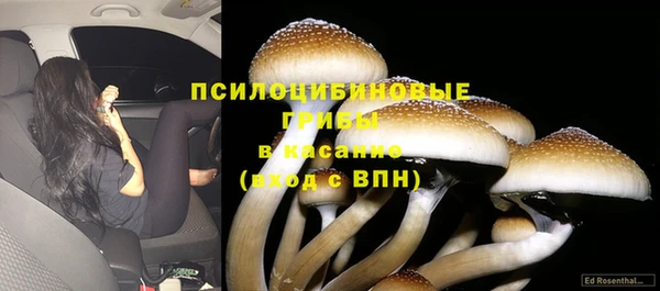 спайс Алексин