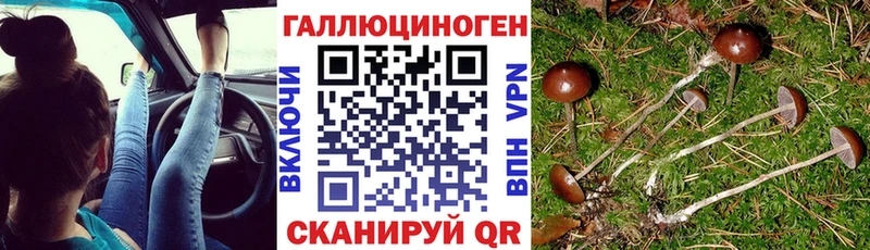 наркотики  hydra ONION  Галлюциногенные грибы Magic Shrooms  Новая Ляля 